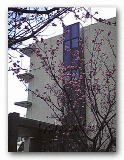 10020902.gif